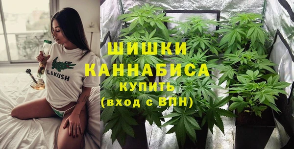 амф Данков