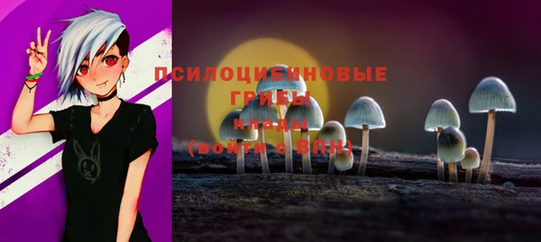 mdma Богородицк