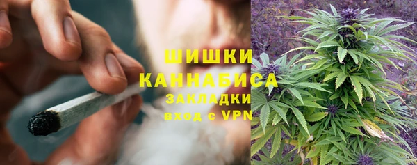 ECSTASY Богданович