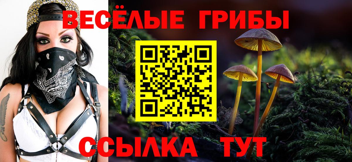 Псилоцибиновые грибы ЛСД Минеральные Воды