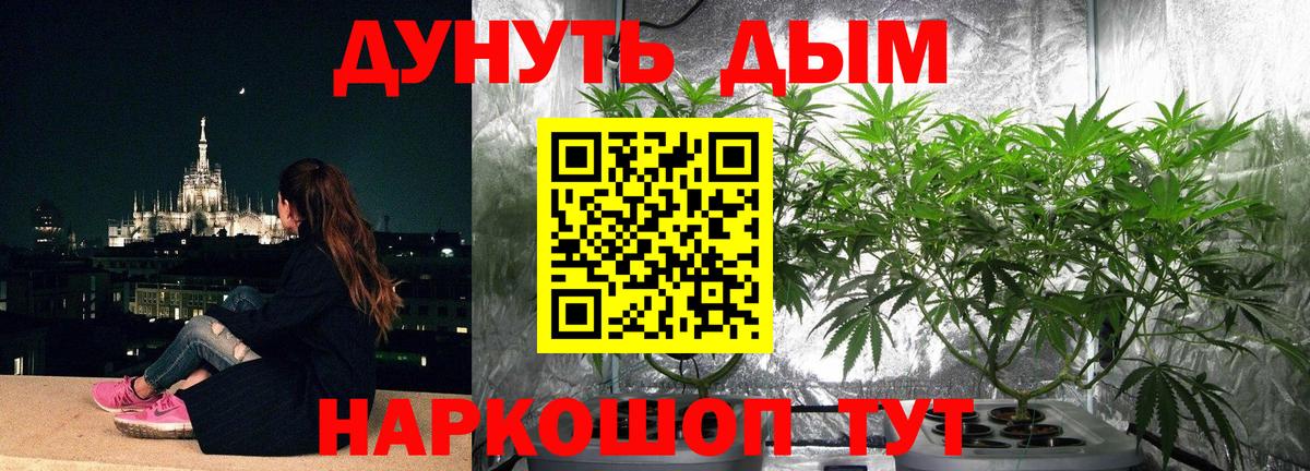 Бошки марихуана сатива  Бошки Шишки VHQ  Минеральные Воды  Вход с VPN 